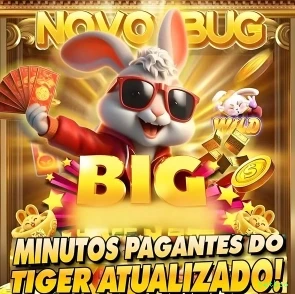 Plataforma betboo - cassino e apostas
